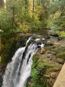 Amber by waterfall.