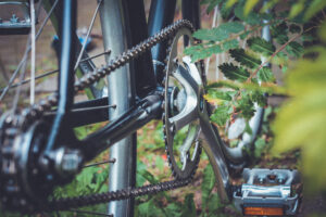 A bike chain attached to a bike, some leaves dangle in frame. 